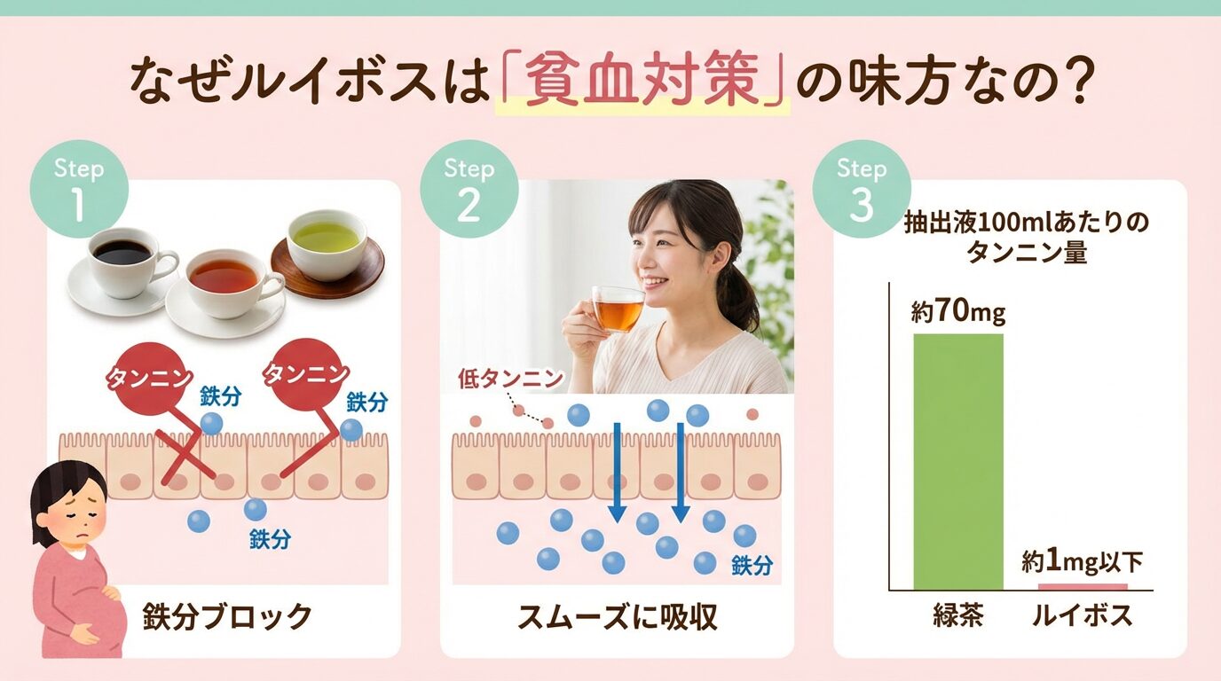コーヒー、紅茶、緑茶とルイボスティーのタンニン量を比較した図解。ルイボスはタンニンが極めて少なく、鉄分の吸収を阻害しないことを示している。